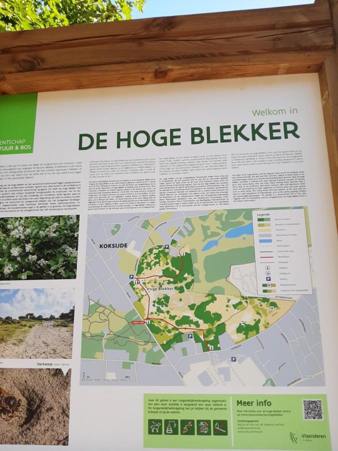 Blekkerke Villa Koksijde Ngoại thất bức ảnh